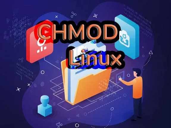 Hướng dẫn phân quyền file và thư mục trên Linux - CHMOD - Code Tut Hub